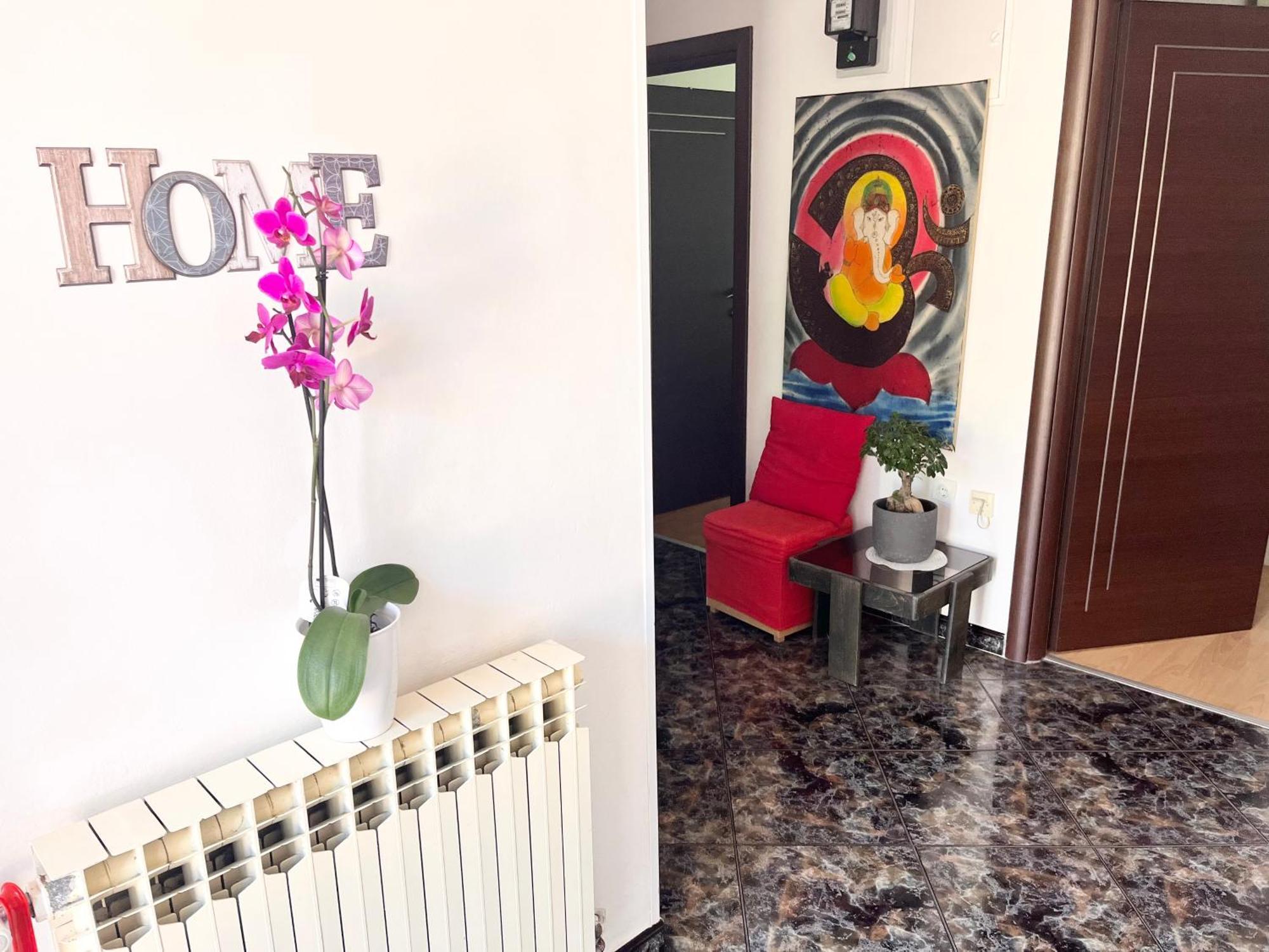 Veronika'S House Pula Extérieur photo