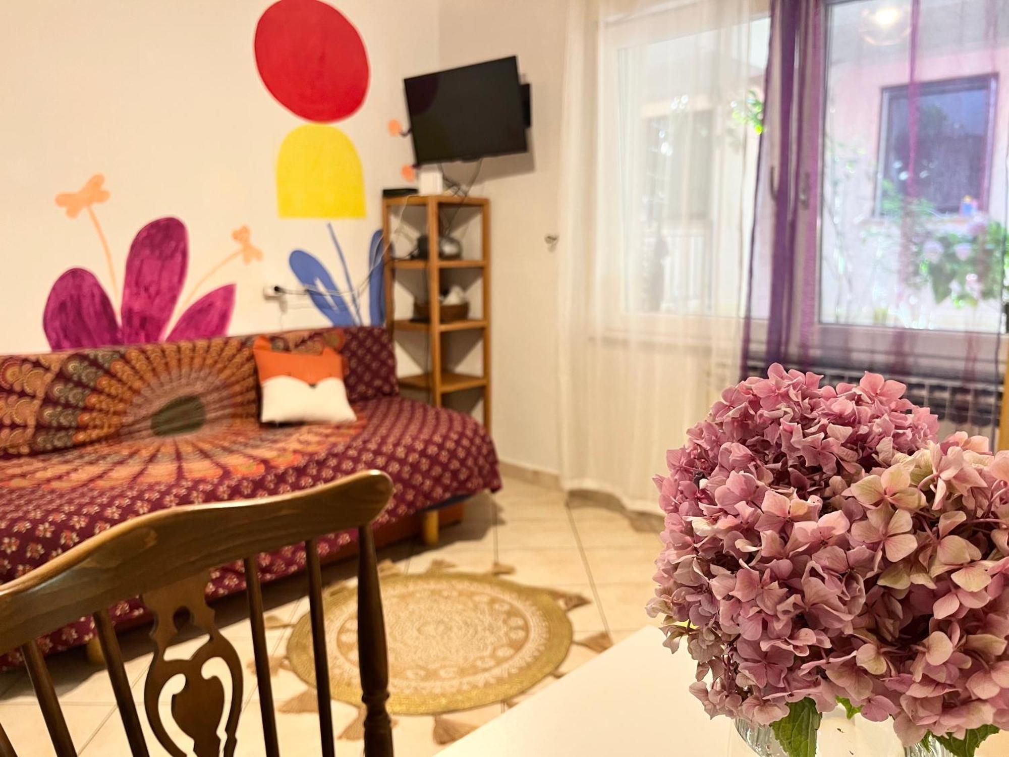 Veronika'S House Pula Extérieur photo